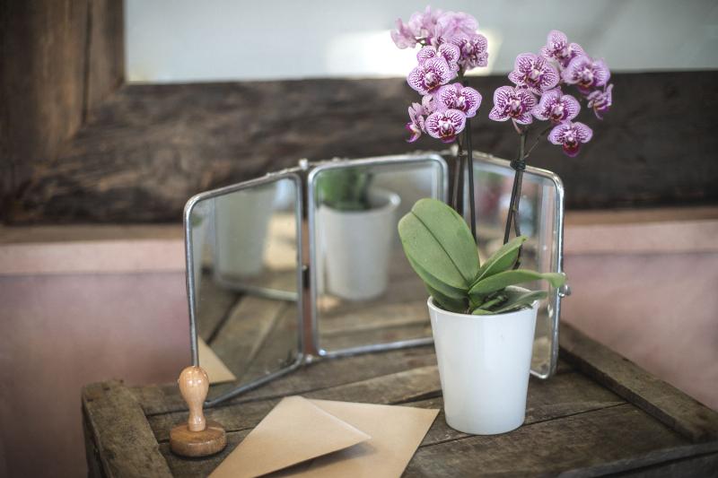 Conseils pour choisir la musique classique d’enterrement d’une maman, reflétant sa personnalité et son amour